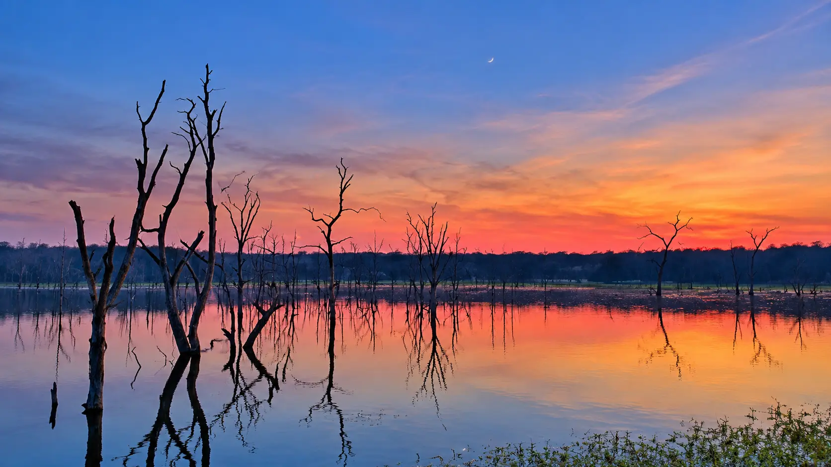 Barnawapara Wildlife Sanctuary