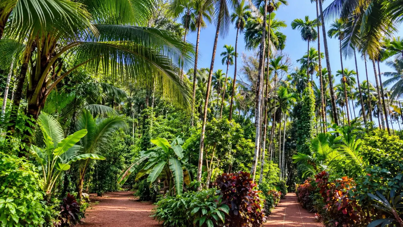 Sahakari Spice Plantation