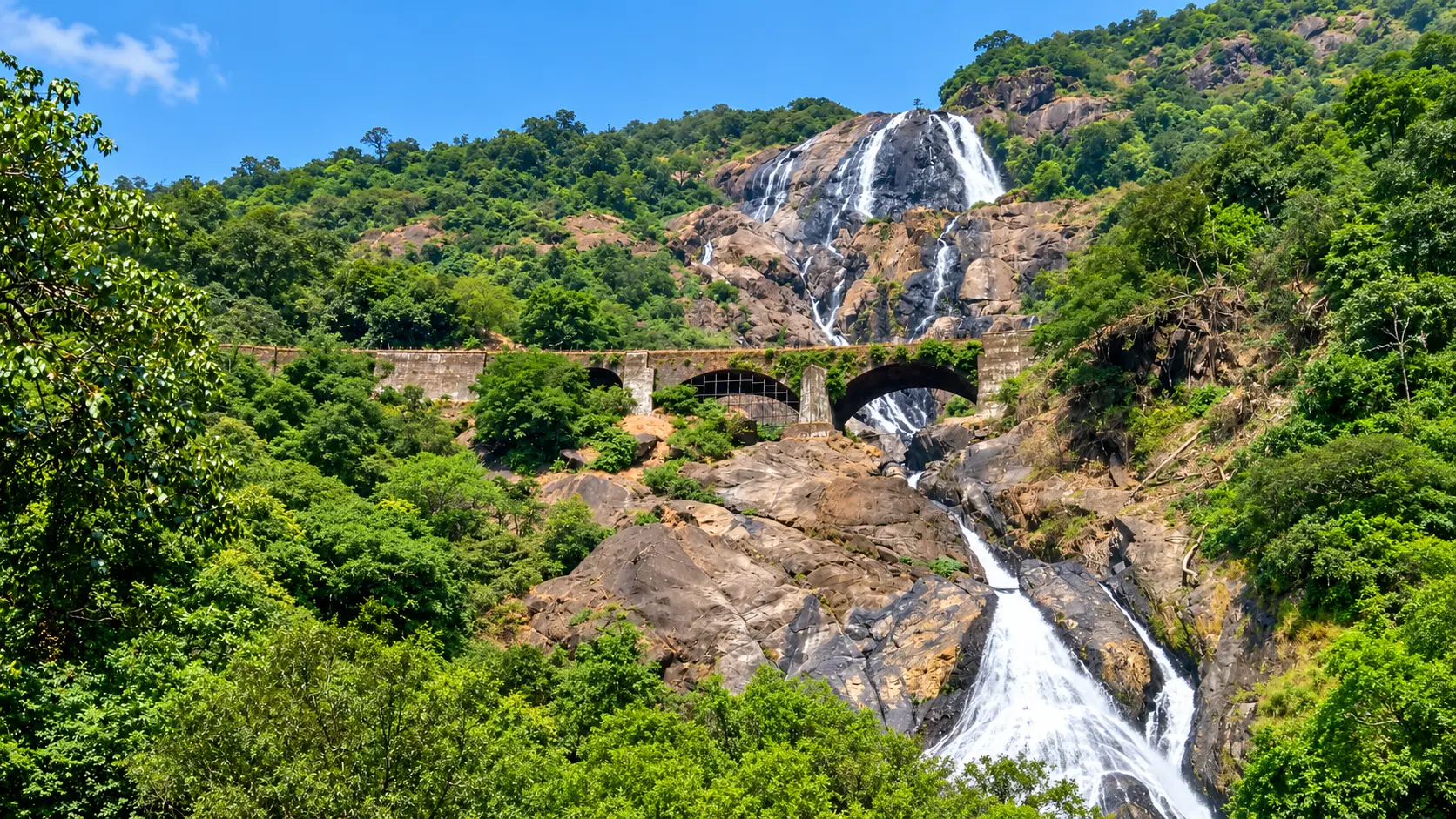 Dudhsagar Waterfalls (Authorised Access)