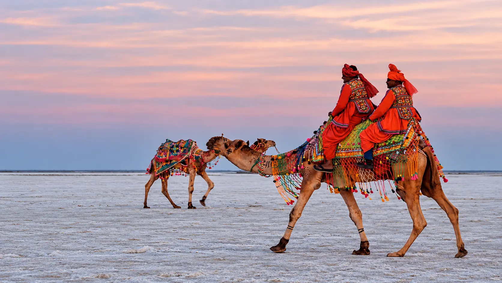 White Rann of Kutch (Dhordo)