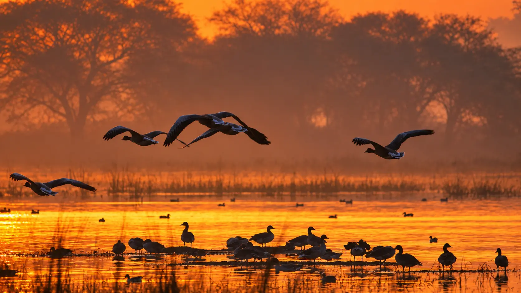 Sultanpur National Park