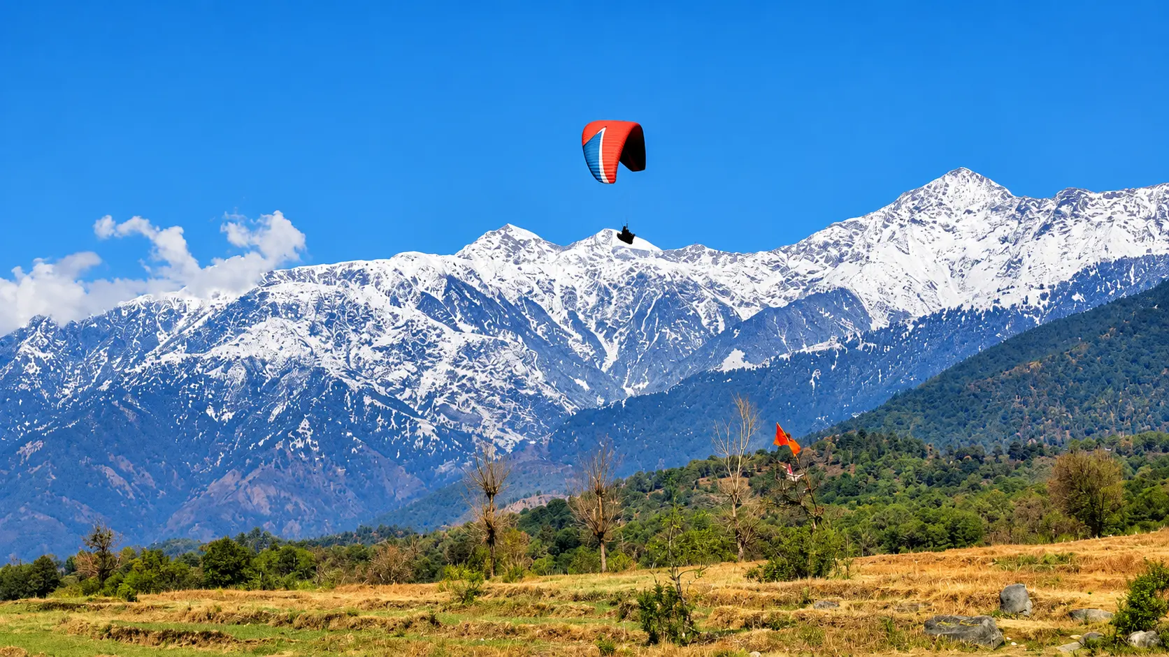 Bir Billing Paragliding and Monasteries