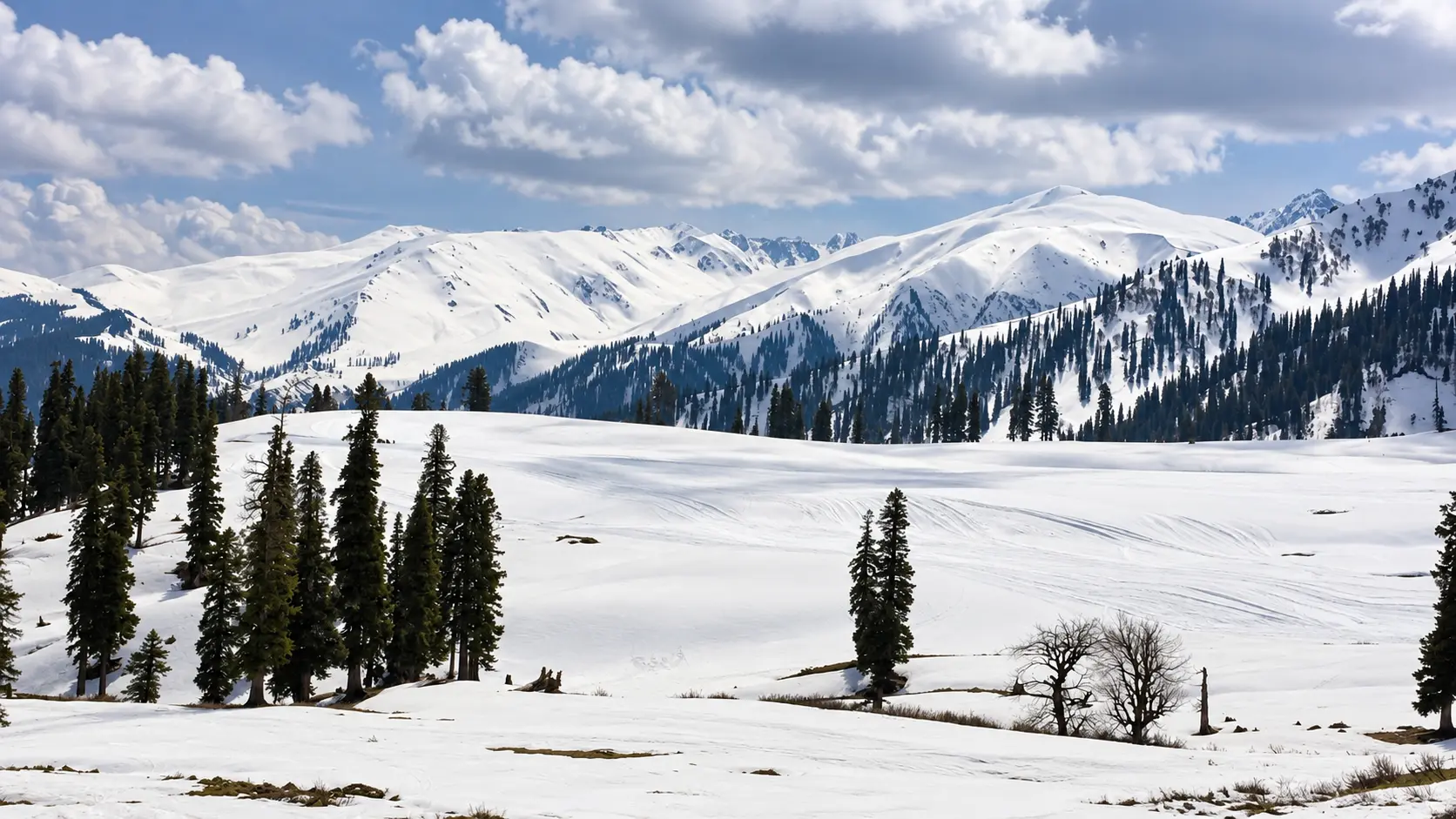 Gulmarg Meadow and Gondola