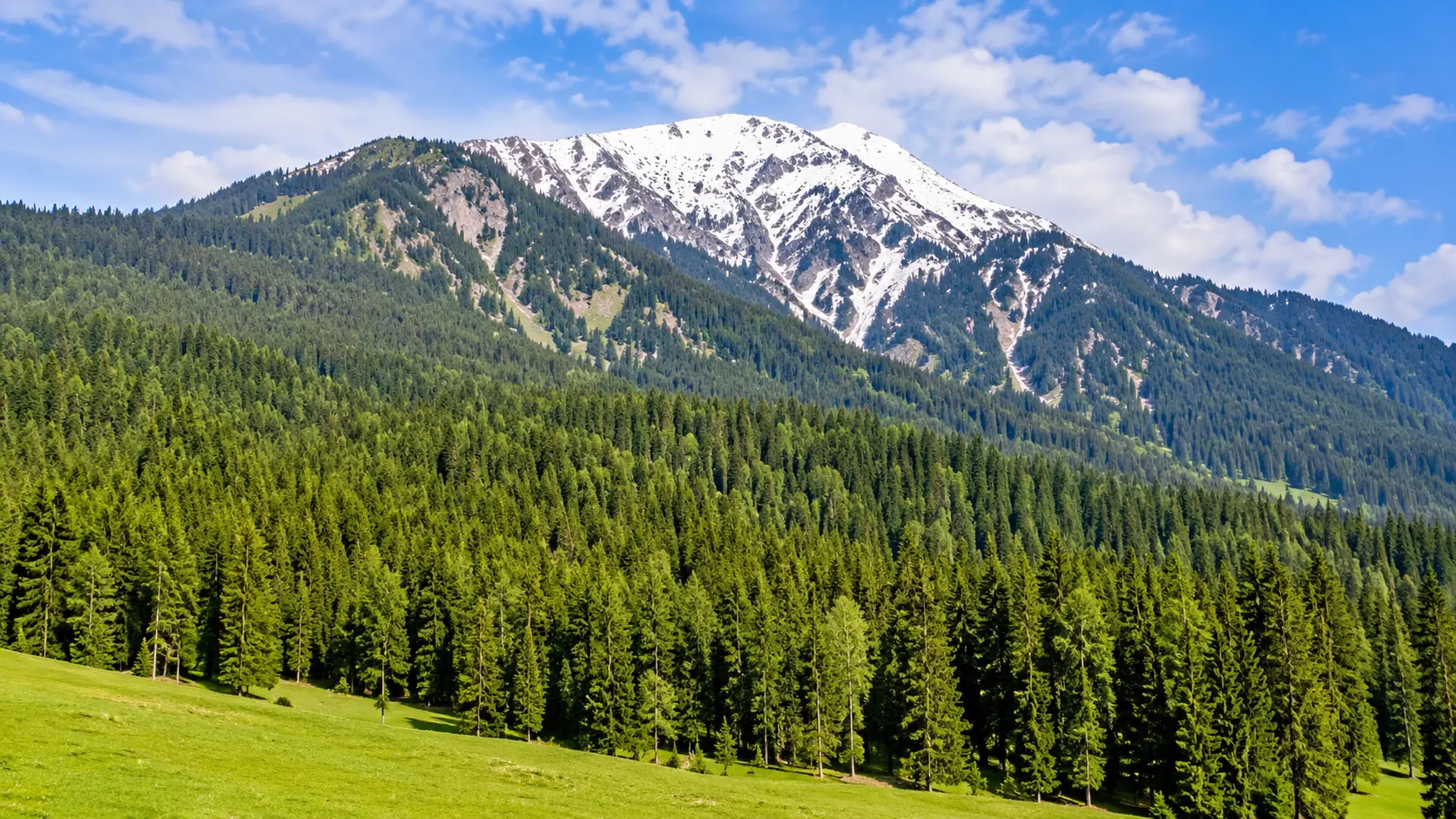 Yusmarg Meadows and Doodhganga