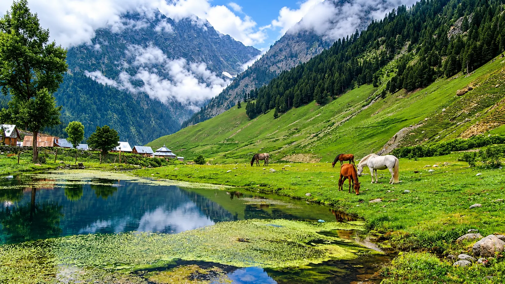 Sonamarg and Thajiwas Glacier