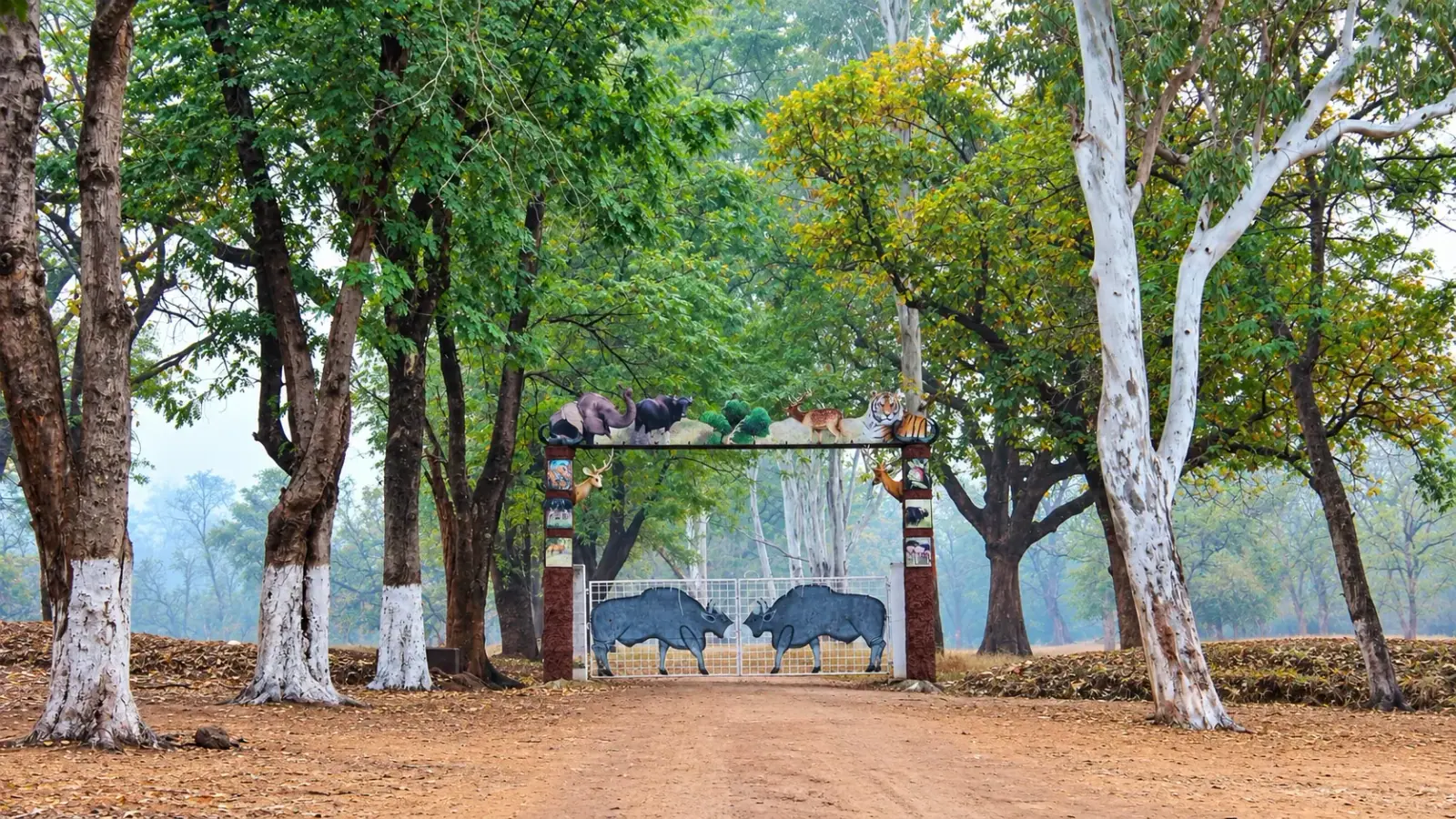 Betla National Park