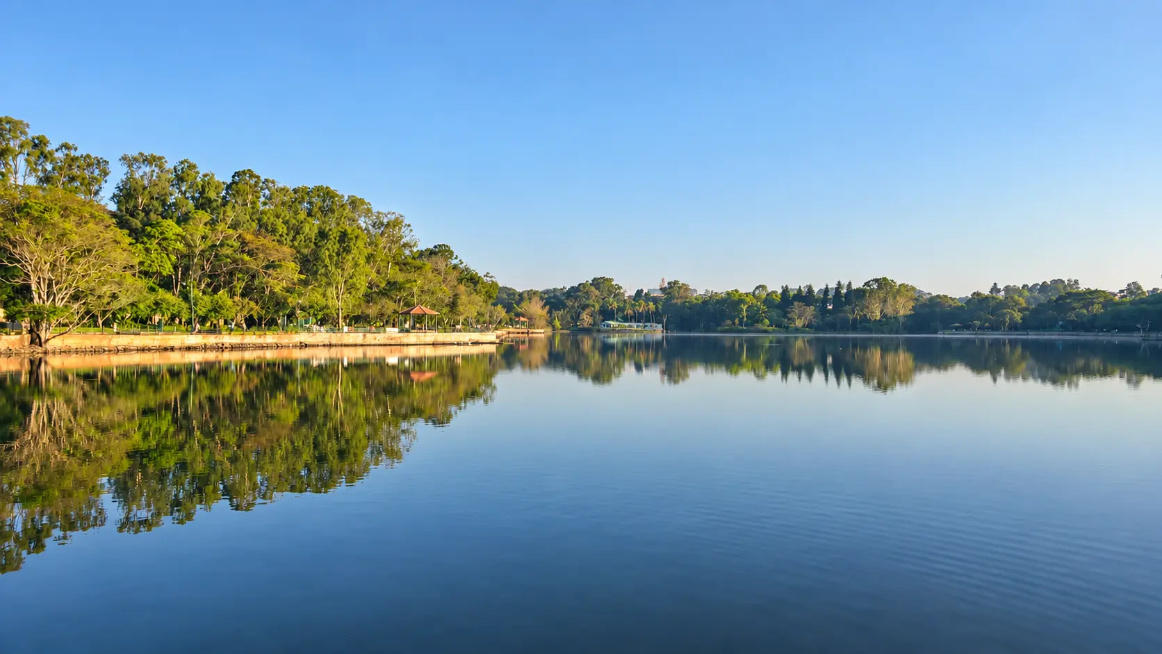 Sankey Tank