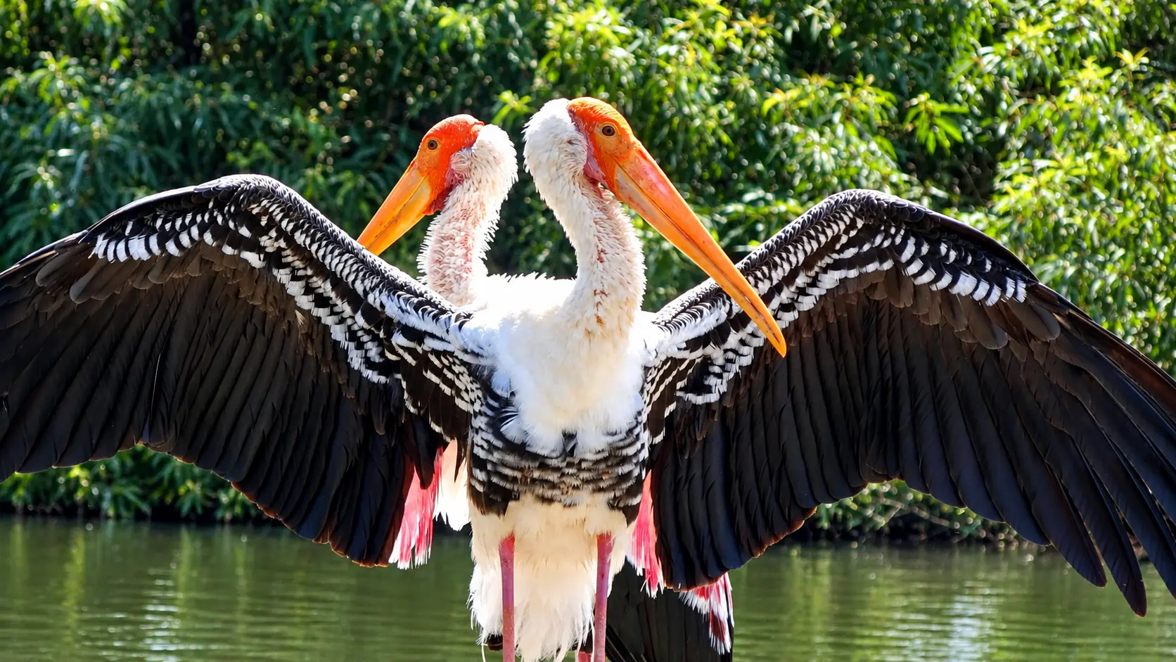 Ranganathittu Bird Sanctuary