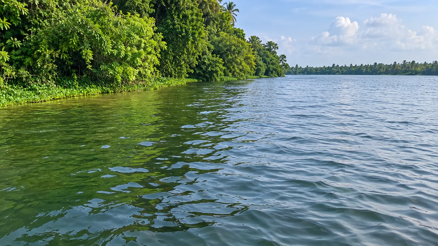 Pathiramanal Island Vembanad Lake