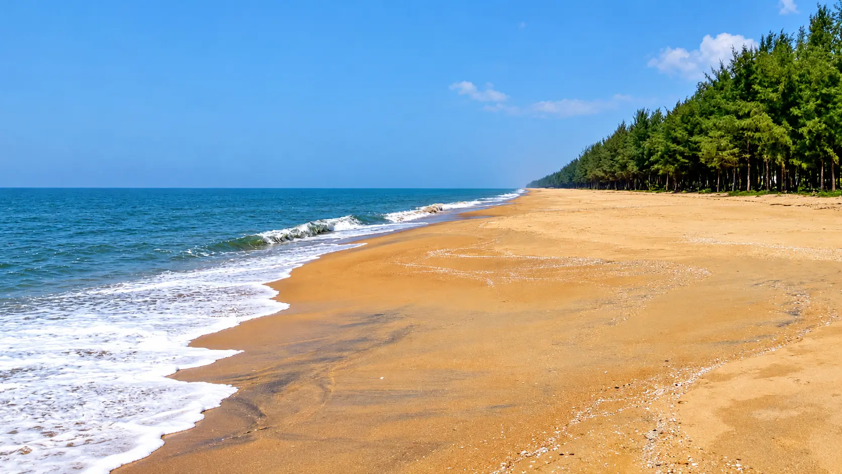 Cherai Beach