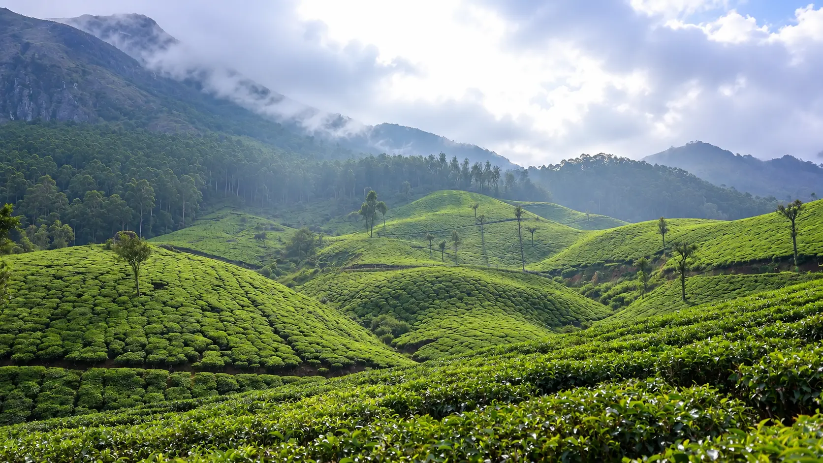 Munnar