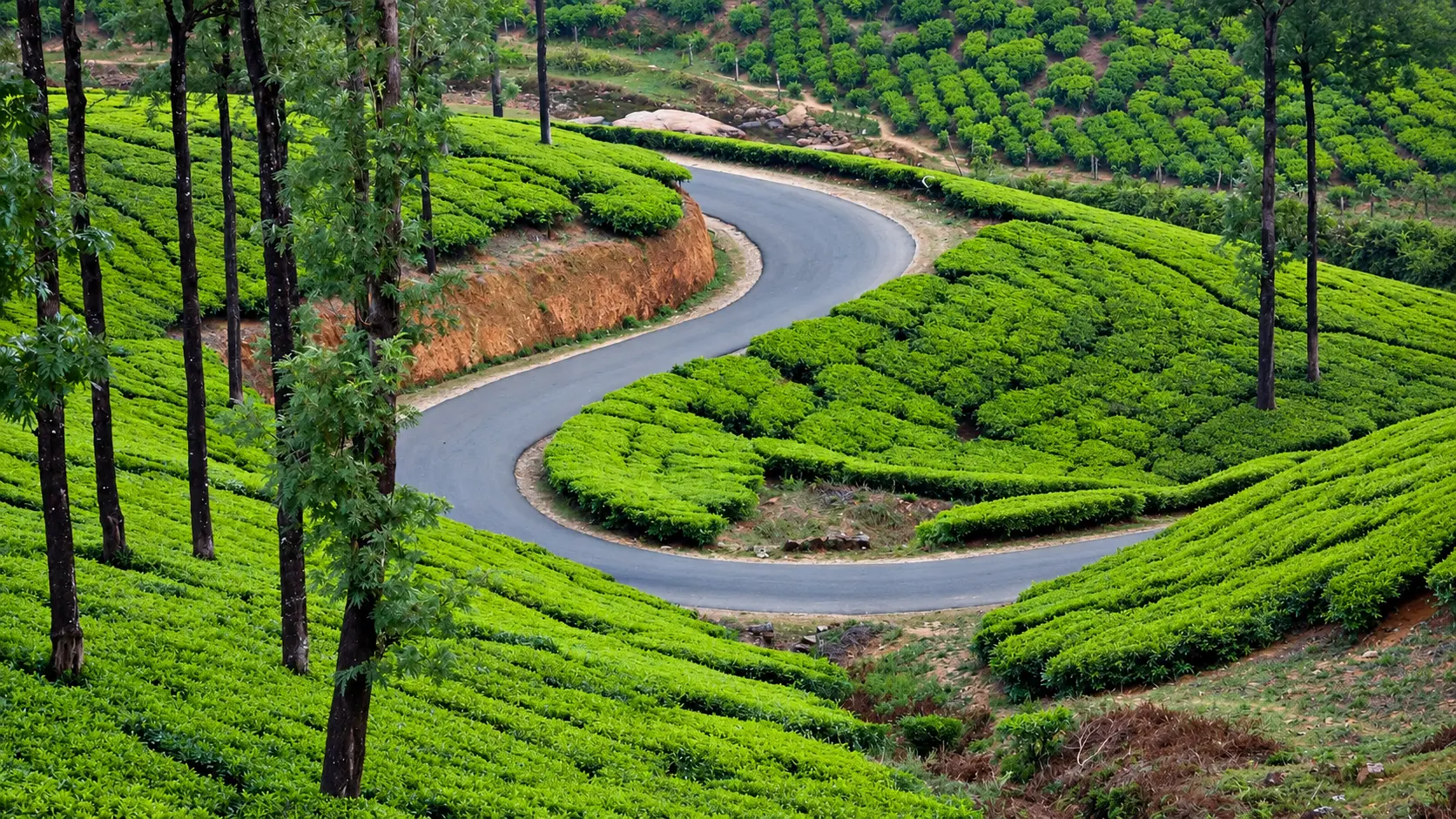 Vagamon