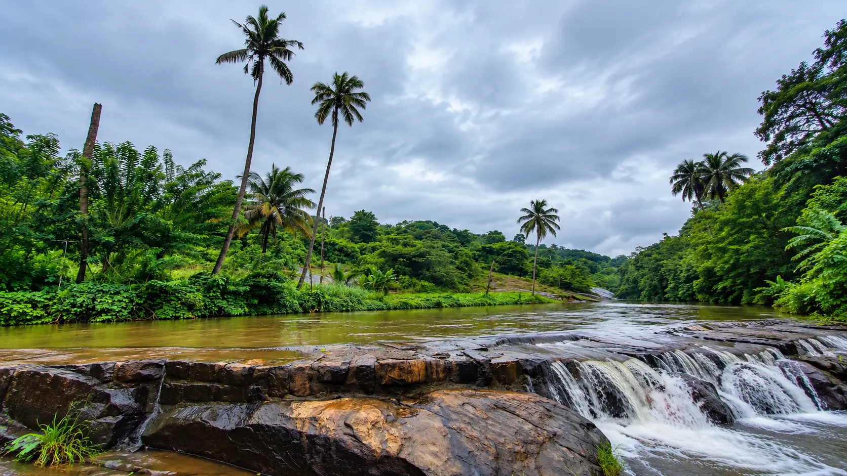 Peechi Dam and Wildlife Sanctuary