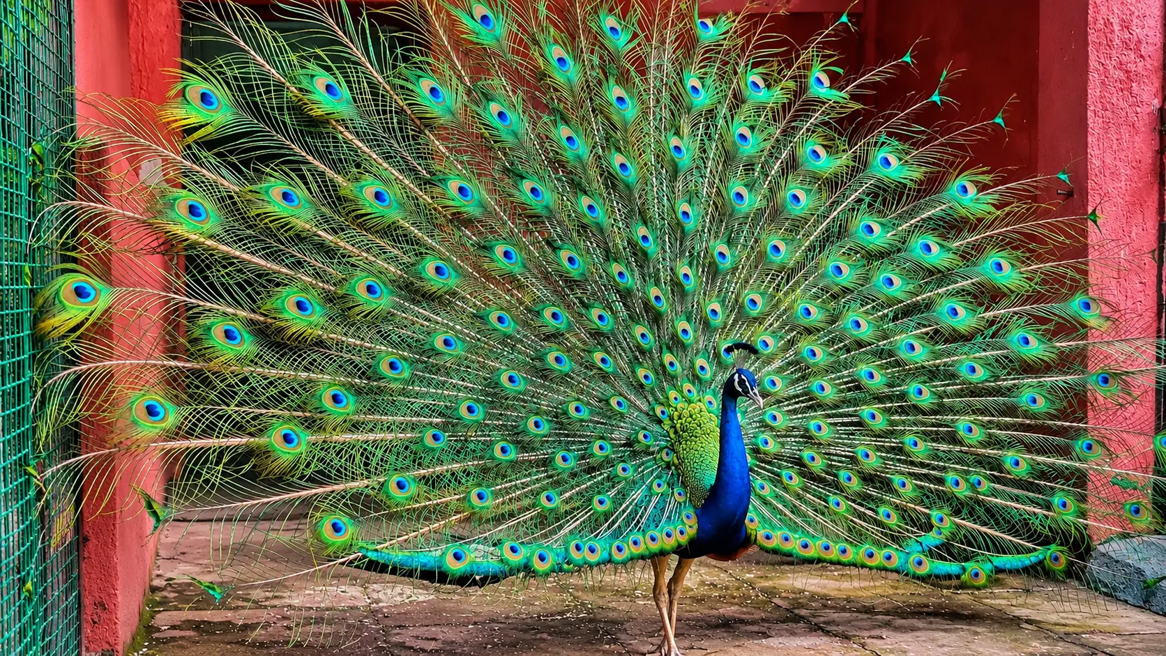 Karnala Bird Sanctuary and Fort