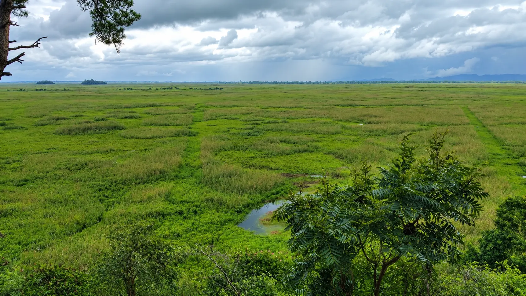 Keibul Lamjao National Park
