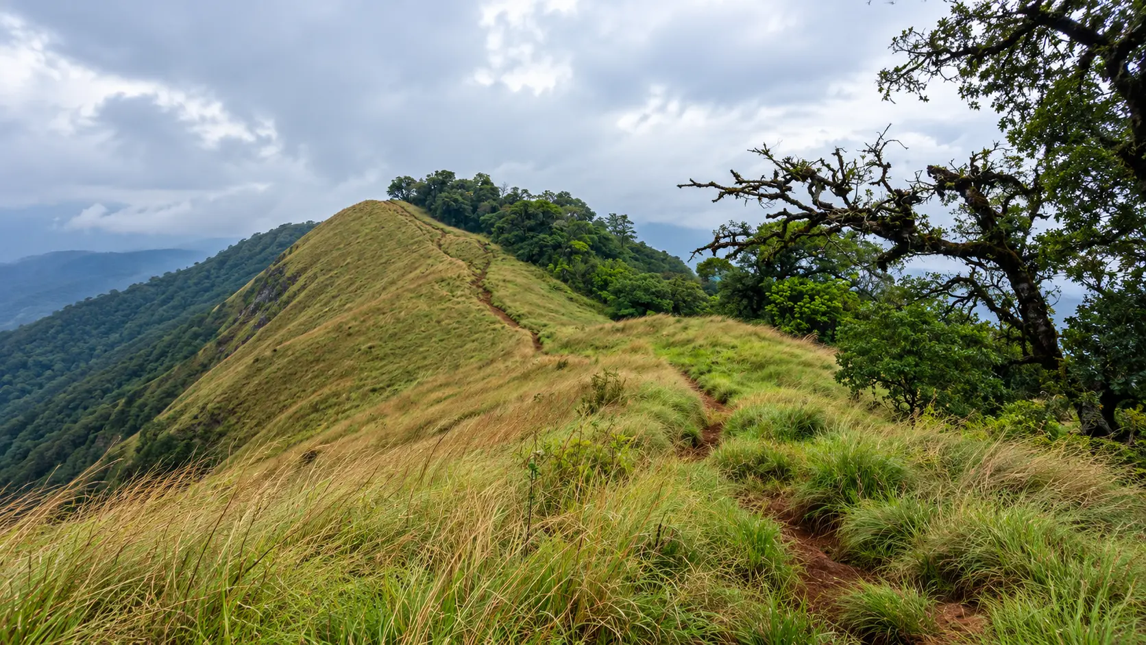 Shirui Kashong Peak
