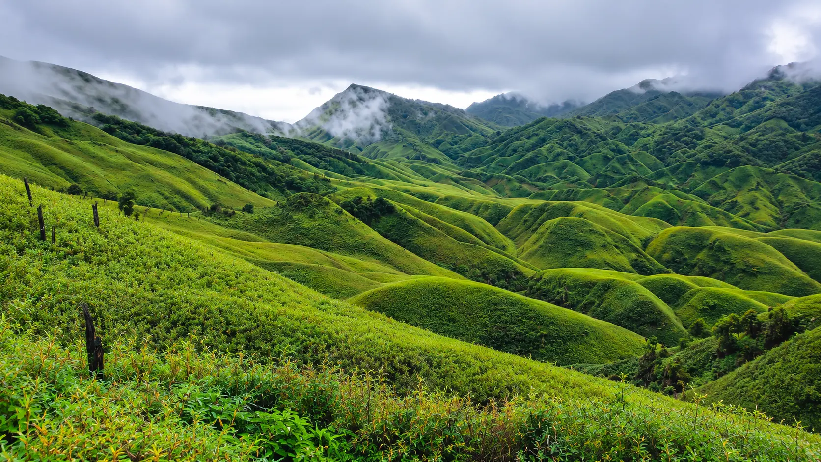 Dzukou Valley