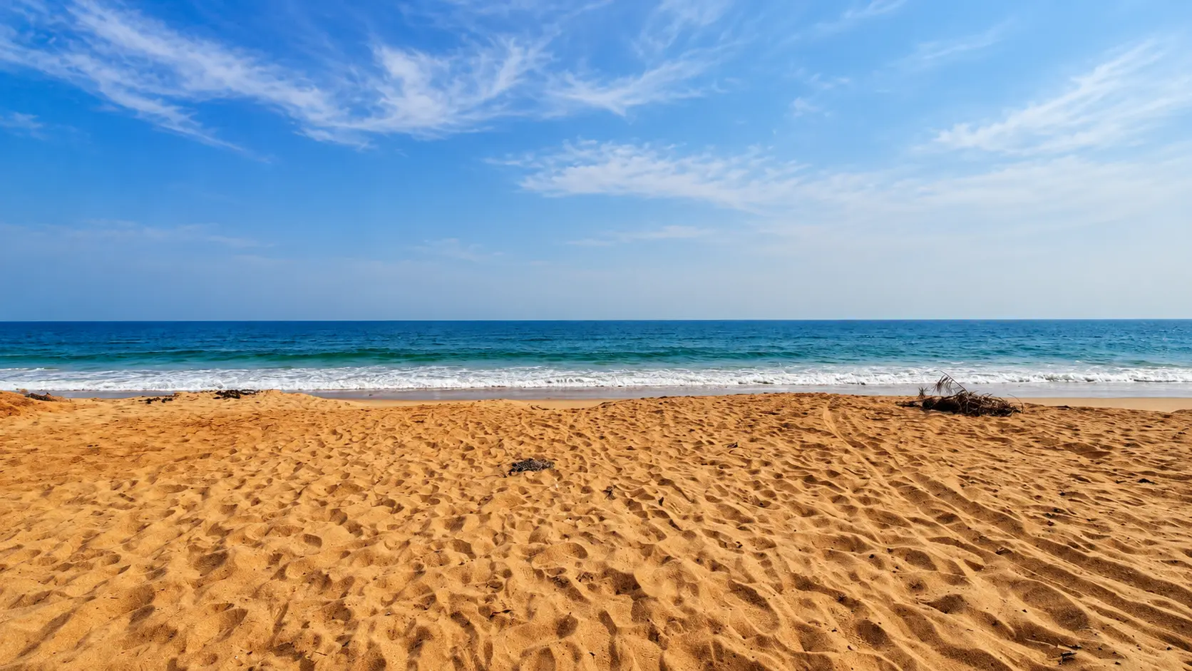 Chandrabhaga Beach