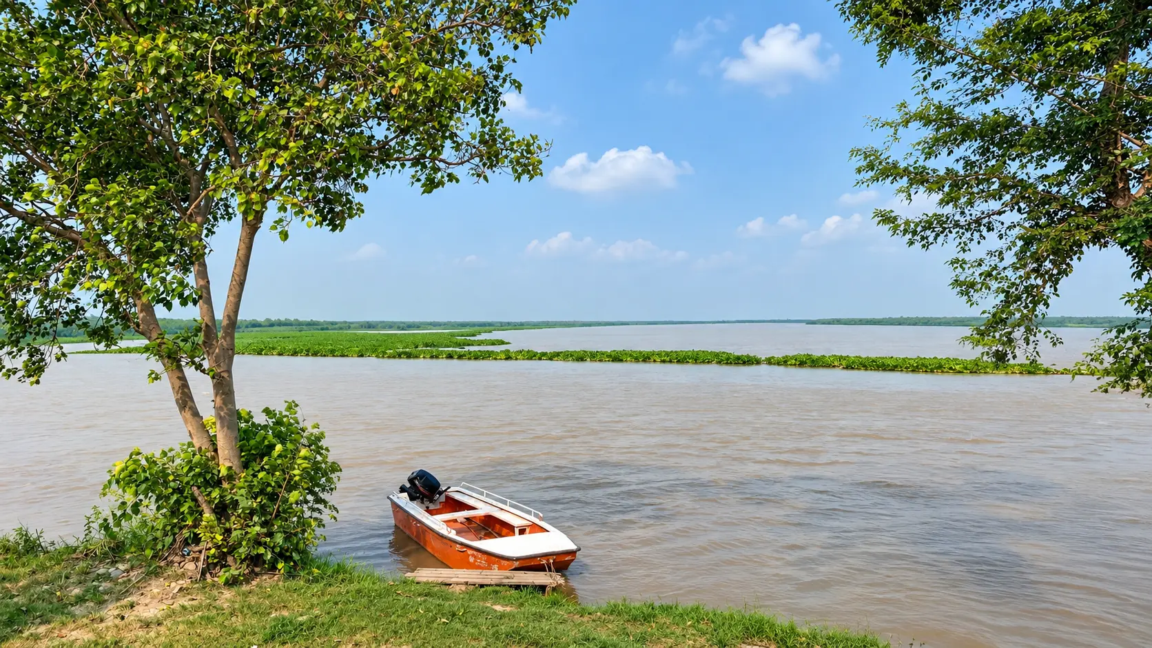 Harike Wetland and Bird Sanctuary