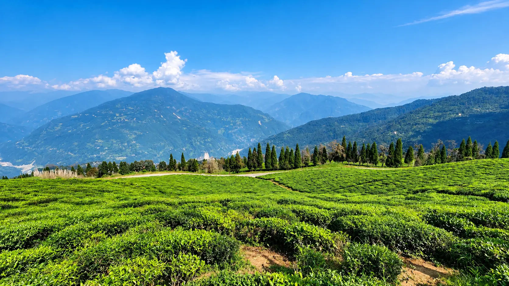 Ravangla Buddha Park
