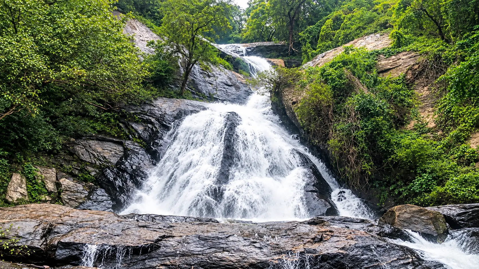 Valparai Tea Plateau