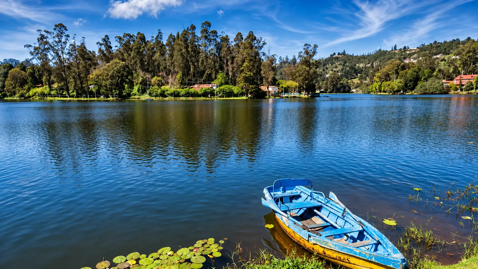 Kodaikanal Palani Hills