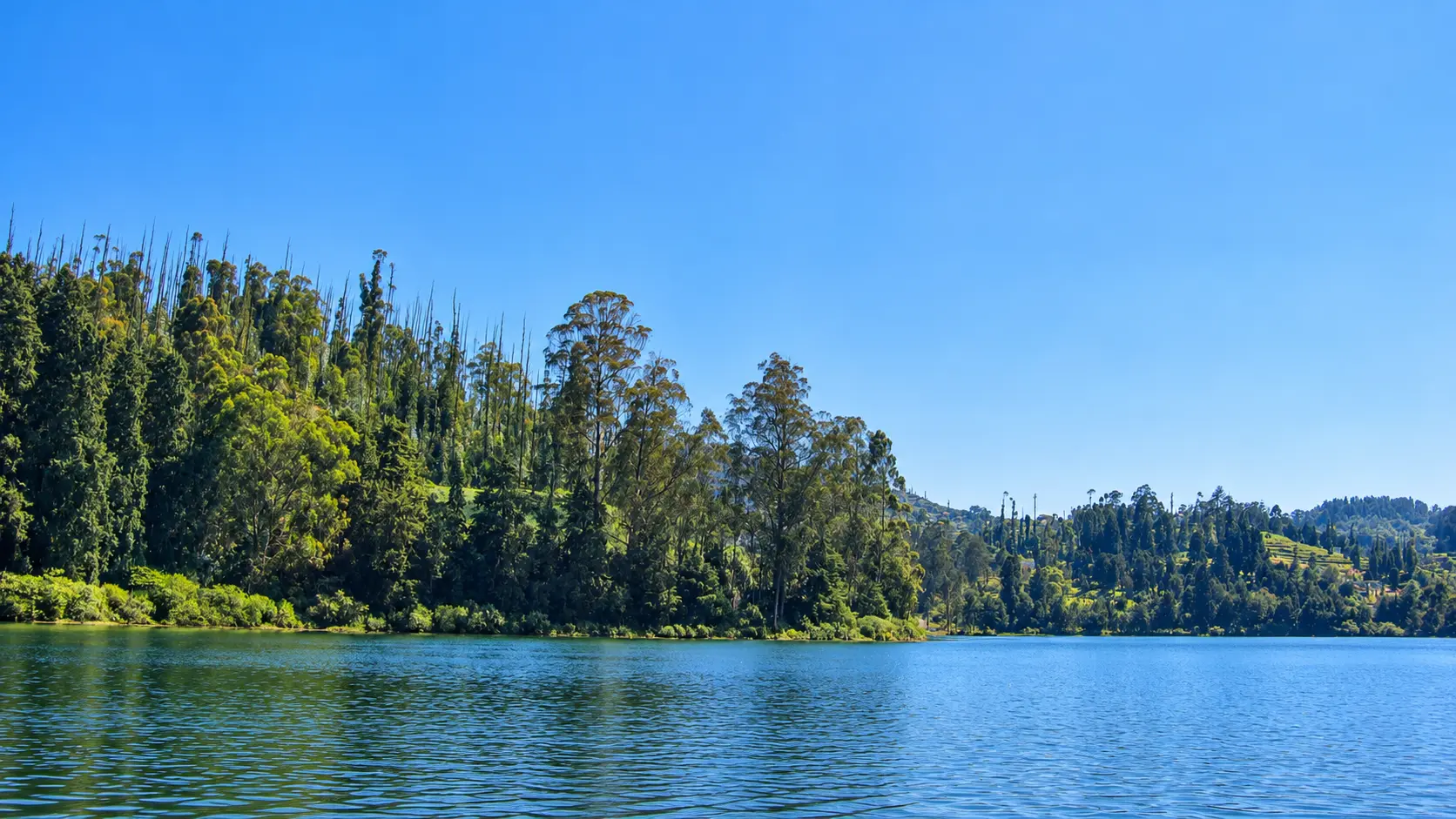 Ooty