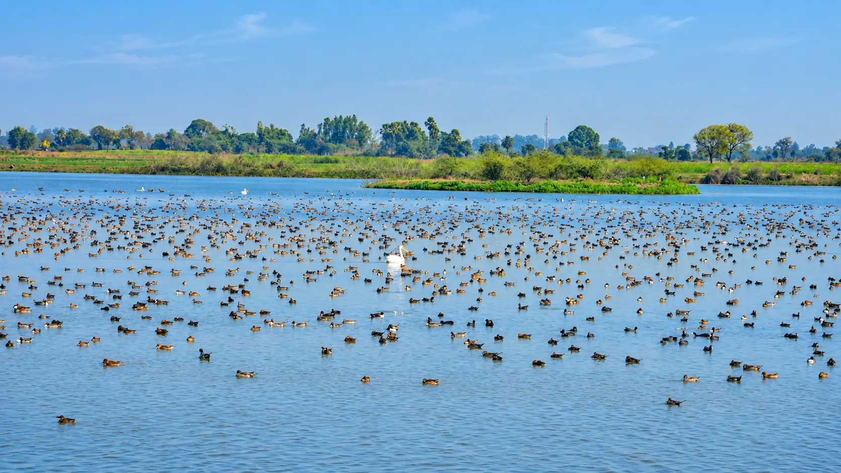 Lakh Bahosi Bird Sanctuary